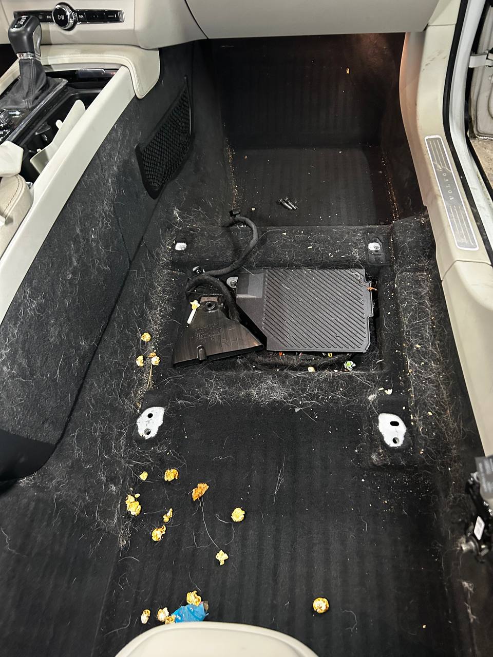 Salona detailings pirms un pēc